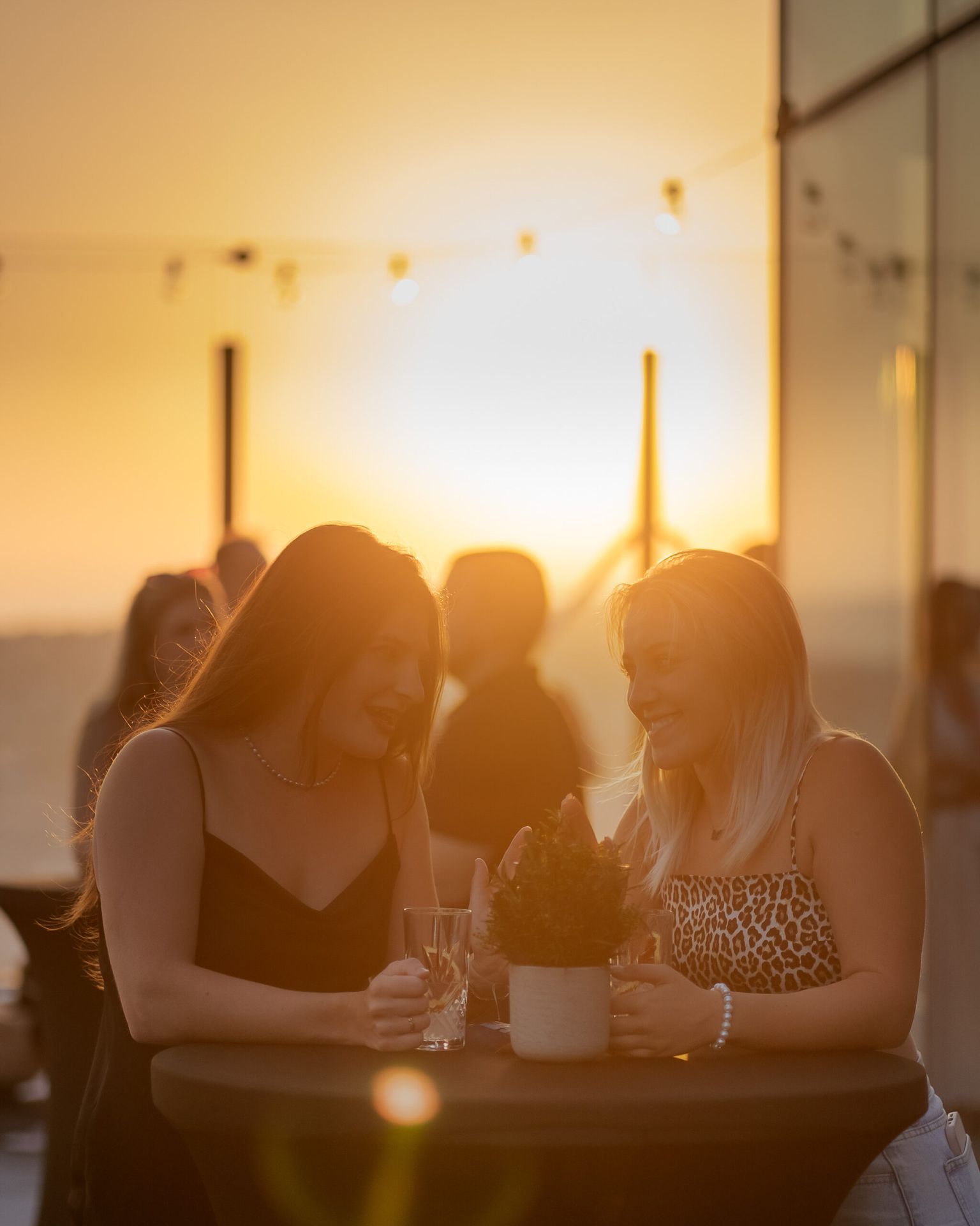 Lab28 community members at sunset on the rooftop terrace